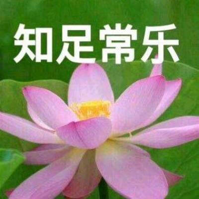 莲花头像