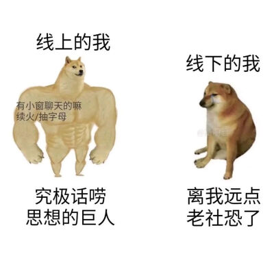 表情包沙雕图