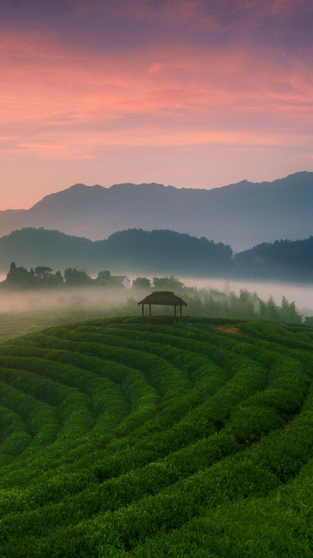 风景图片