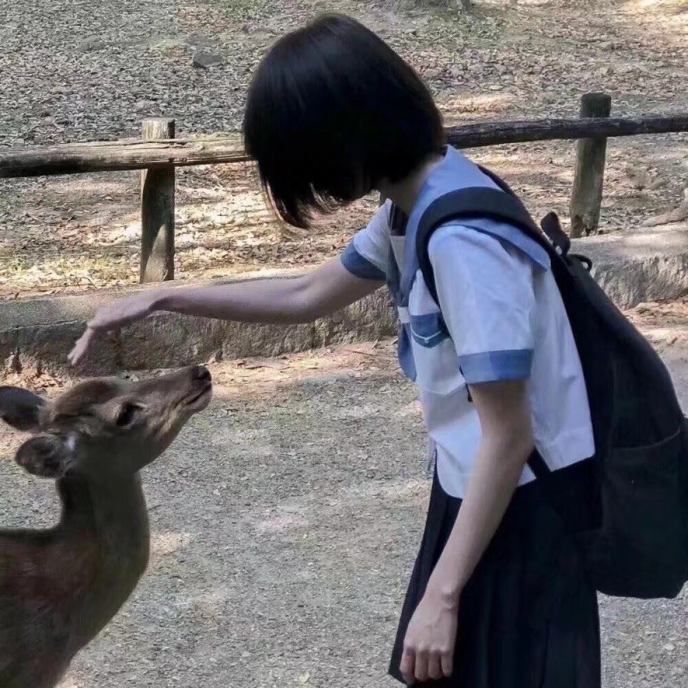 男头女头
抱猫抱狗
双向的奔赴才有意义。