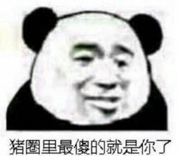 搞怪沙雕熊猫头表情包