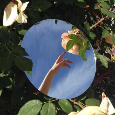 分享‖阳光背景图