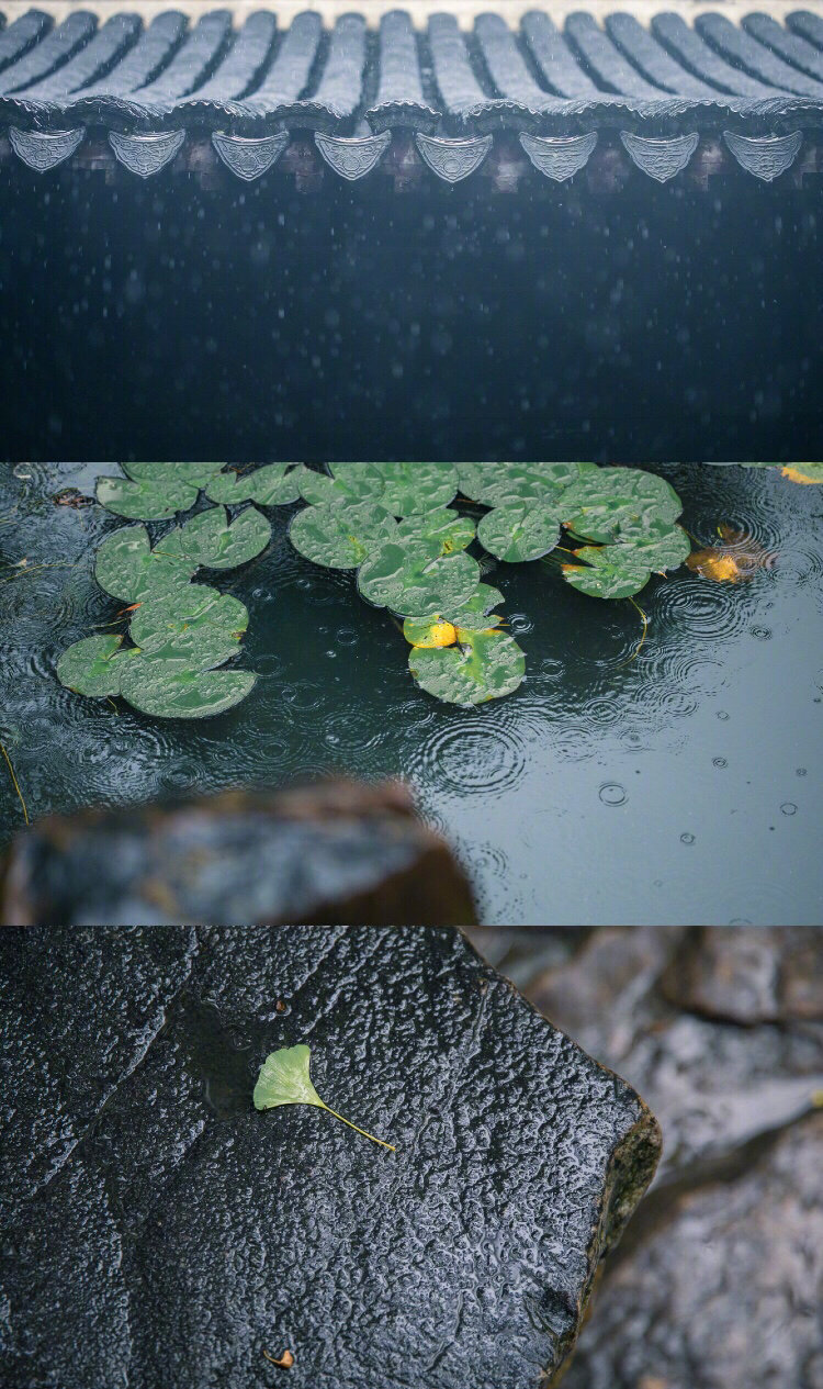 你想过普通的生活，就会遇到普通的挫折。你想过好最的生活，就一定会遇上最强的伤害。这世界很公平，想要最好，就一定会给你最痛。 -- 李嘉诚
图源网络，侵删