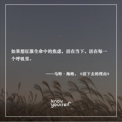 如果想征服生命中的焦虑，活在当下，活在每一个呼吸里。——马特·海格，《活下去的理由》 ​​​