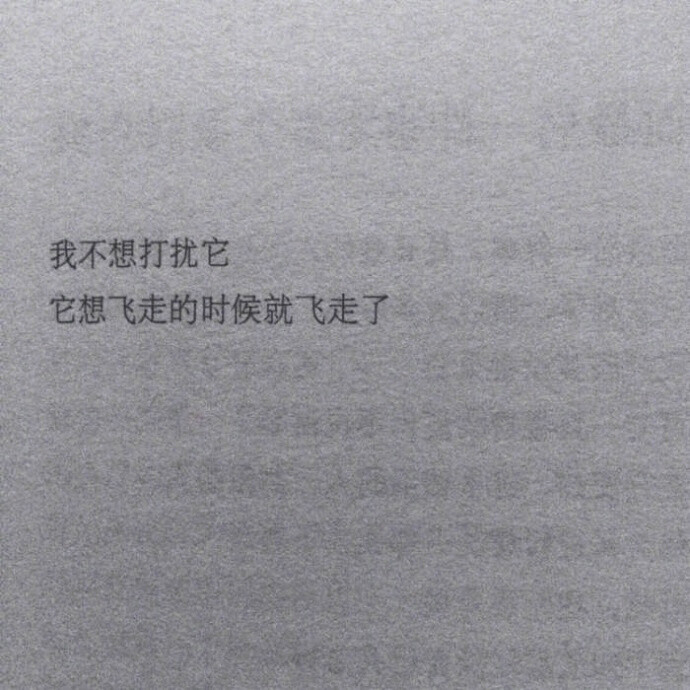 文字背景图