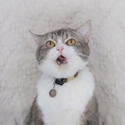 微博 @杯杯Bell morning与哥哥