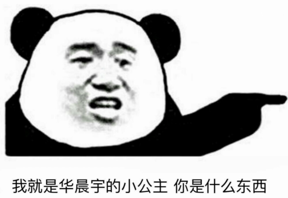 我就是华晨宇的小公主 你是什么东西