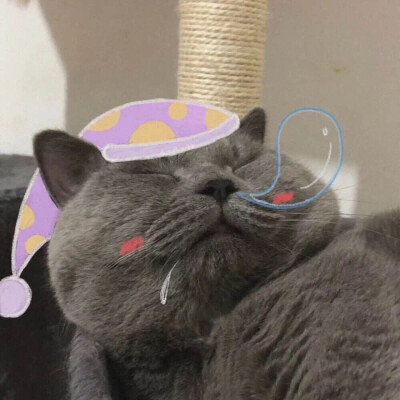 憨憨