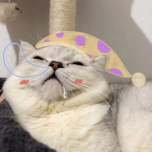 憨憨