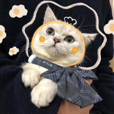 憨憨