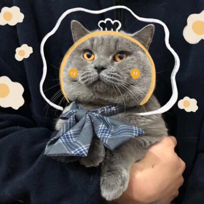 憨憨