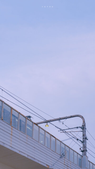 落日電車
微博©飞天发光小酥肉