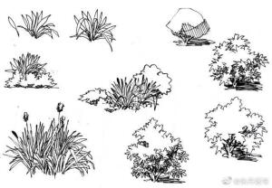 画室的日常生活