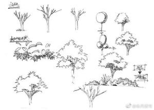 画室的日常生活