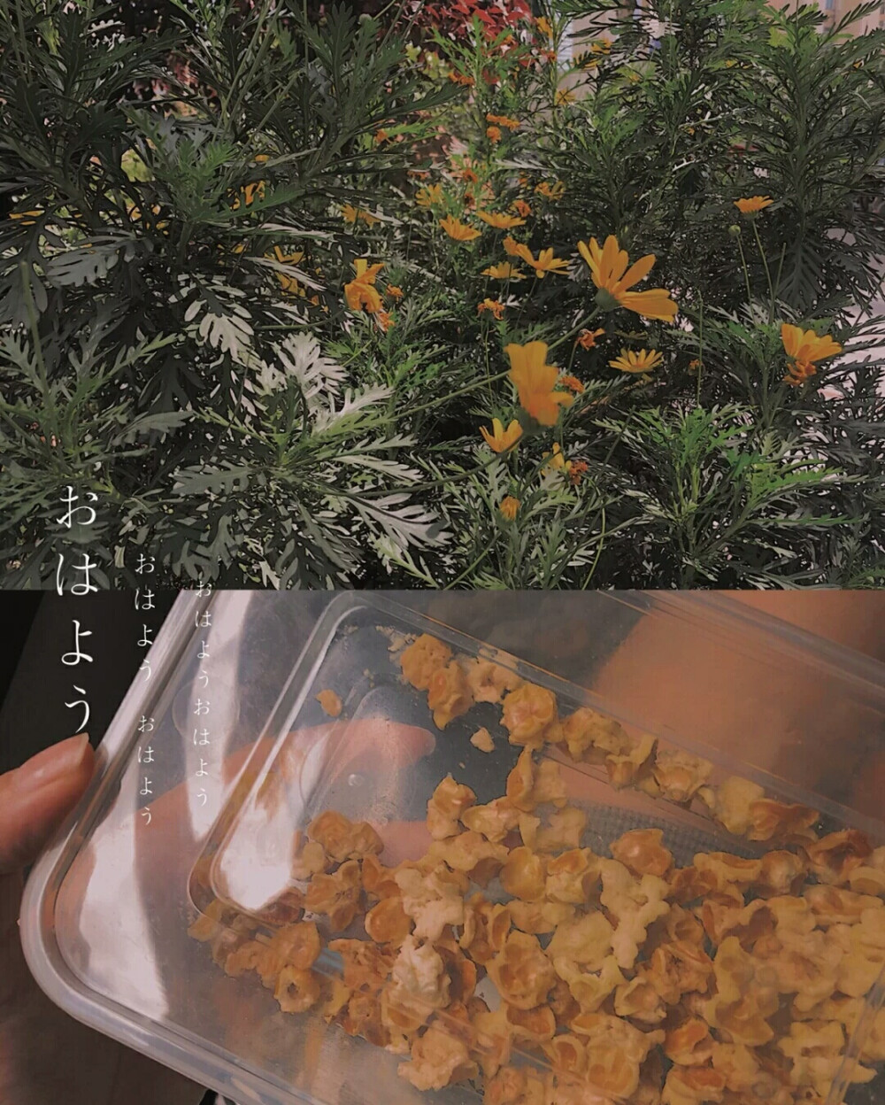 你们的妈妈每次切西瓜的时候是不是都不洗菜刀？