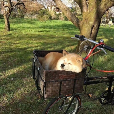 电动车烫腚的夏天要来了