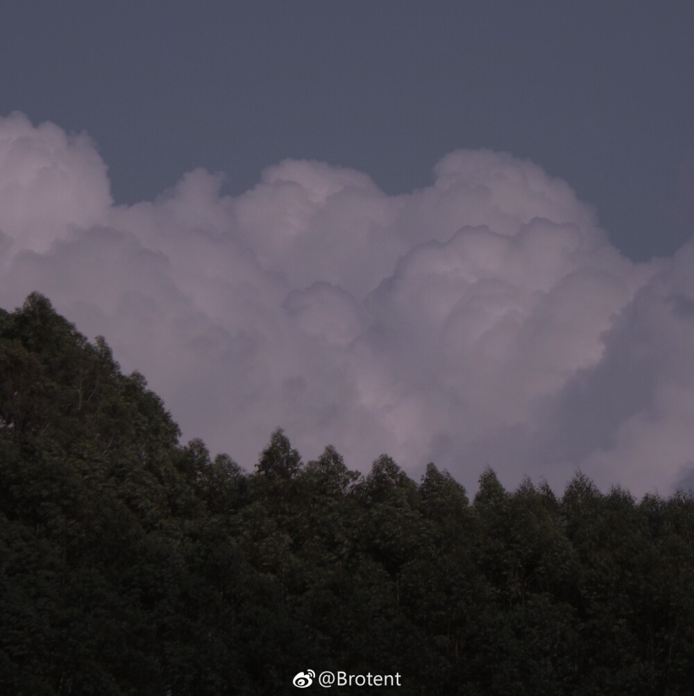 唯美图片 风景 壁纸 背景图片