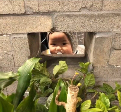 夏温