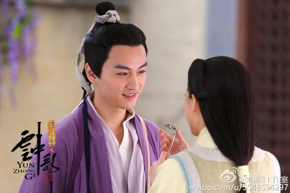 陈晓 饰 刘病已/刘询