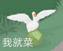表情包群｜今日分享『大白鹅』