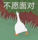 表情包群｜今日分享『大白鹅』