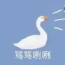 表情包群｜今日分享『大白鹅』