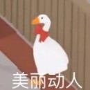 表情包群｜今日分享『大白鹅』