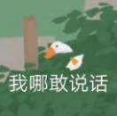 表情包群｜今日分享『大白鹅』