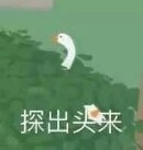 表情包群｜今日分享『大白鹅』