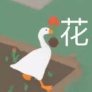 表情包群｜今日分享『大白鹅』