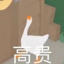 表情包群｜今日分享『大白鹅』