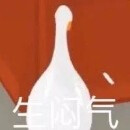 表情包群｜今日分享『大白鹅』