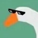 表情包群｜今日分享『大白鹅』