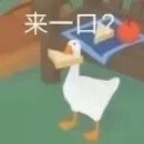 表情包群｜今日分享『大白鹅』