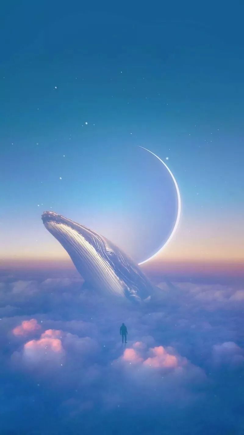 手机壁纸