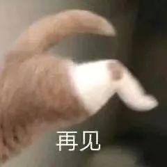 猫猫头