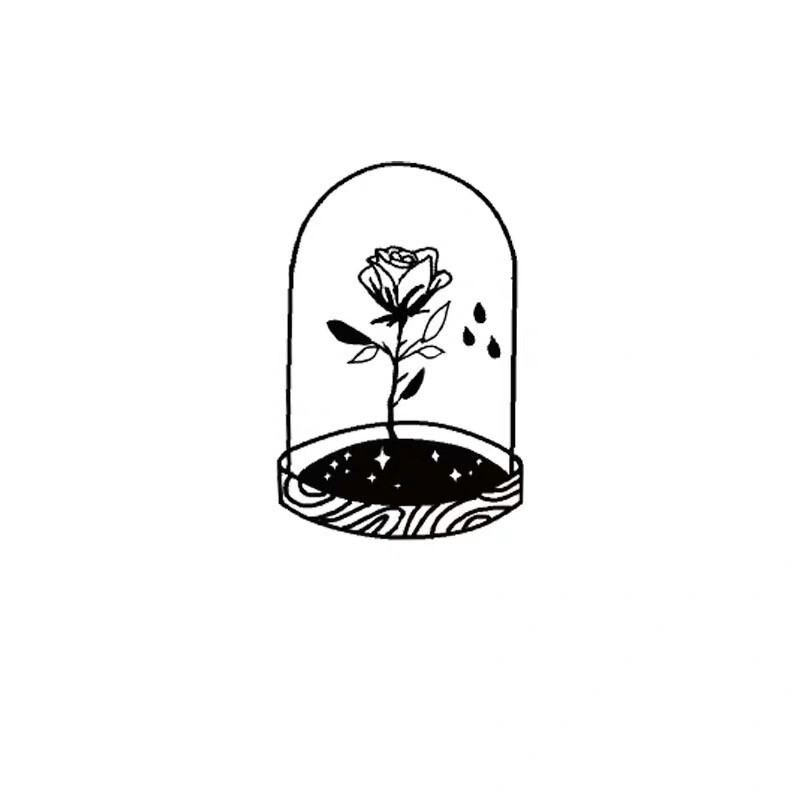 小王子玫瑰花的画法图片