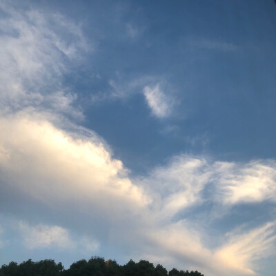 多年以后，我还是会想起那个夏天