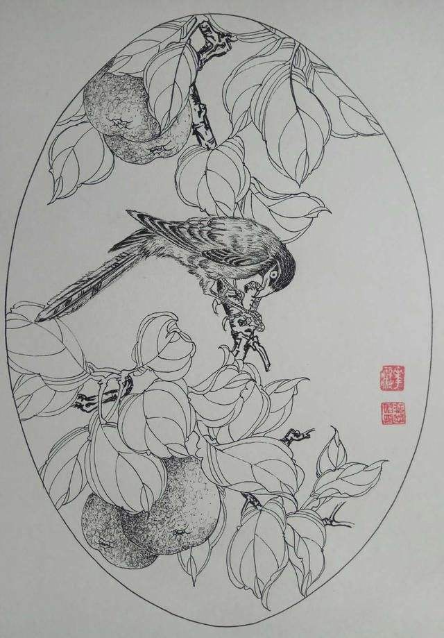 花鸟