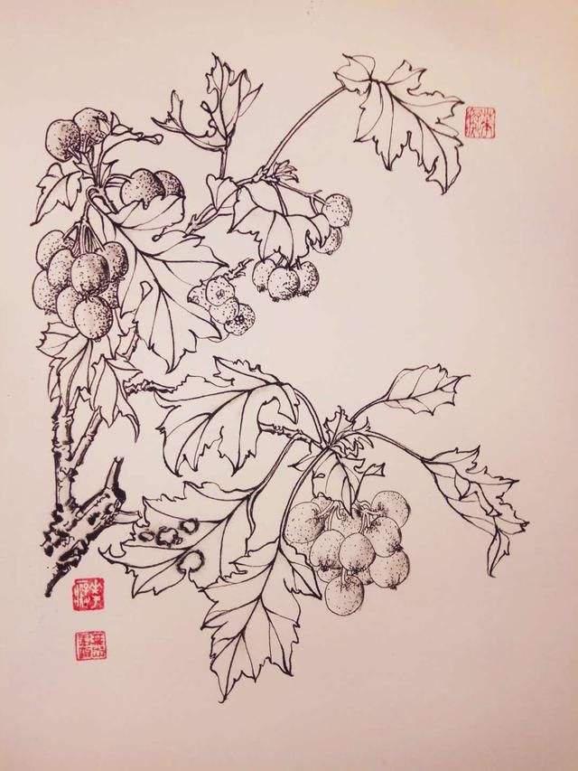 花鸟