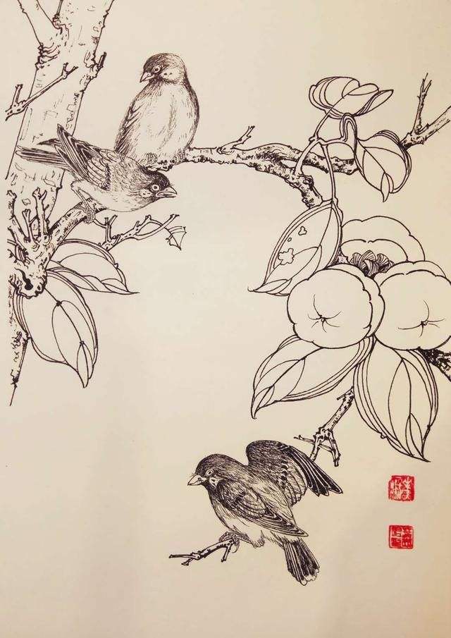 花鸟