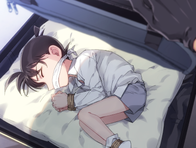 【骗子组】作者Pixiv的ID：K
用户名ID：10147118