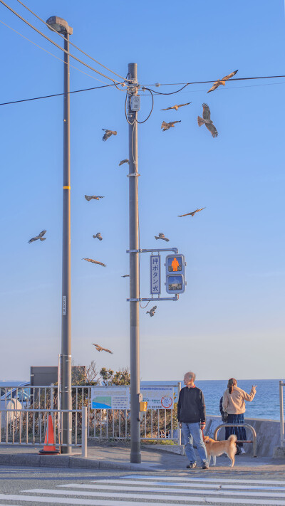 高清壁纸——风景静物