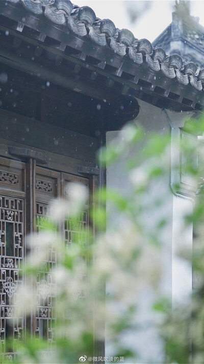 #南京文旅# 愚园·小蜡 | 微风细雨 摄影@微风吹淡的蓝 ​​​