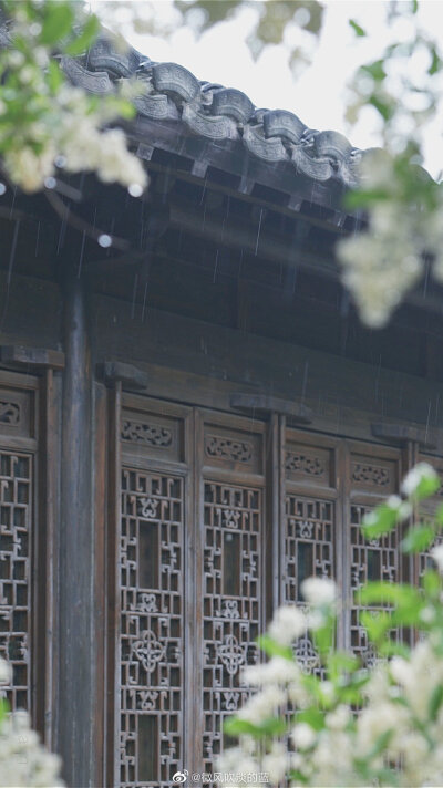 #南京文旅# 愚园·小蜡 | 微风细雨 摄影@微风吹淡的蓝 ​​​