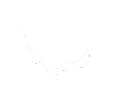 二传注明dt许思思.