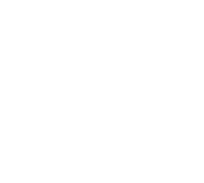 二传注明dt许思思.