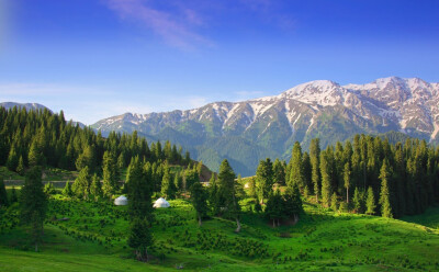 新疆风景