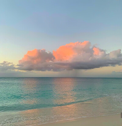 夏日满街的绿叶 黄澄澄的芒果
红红的杨梅荔枝 热气腾腾的烟火气
好像比冬日的满地白雪更能给我踏实感