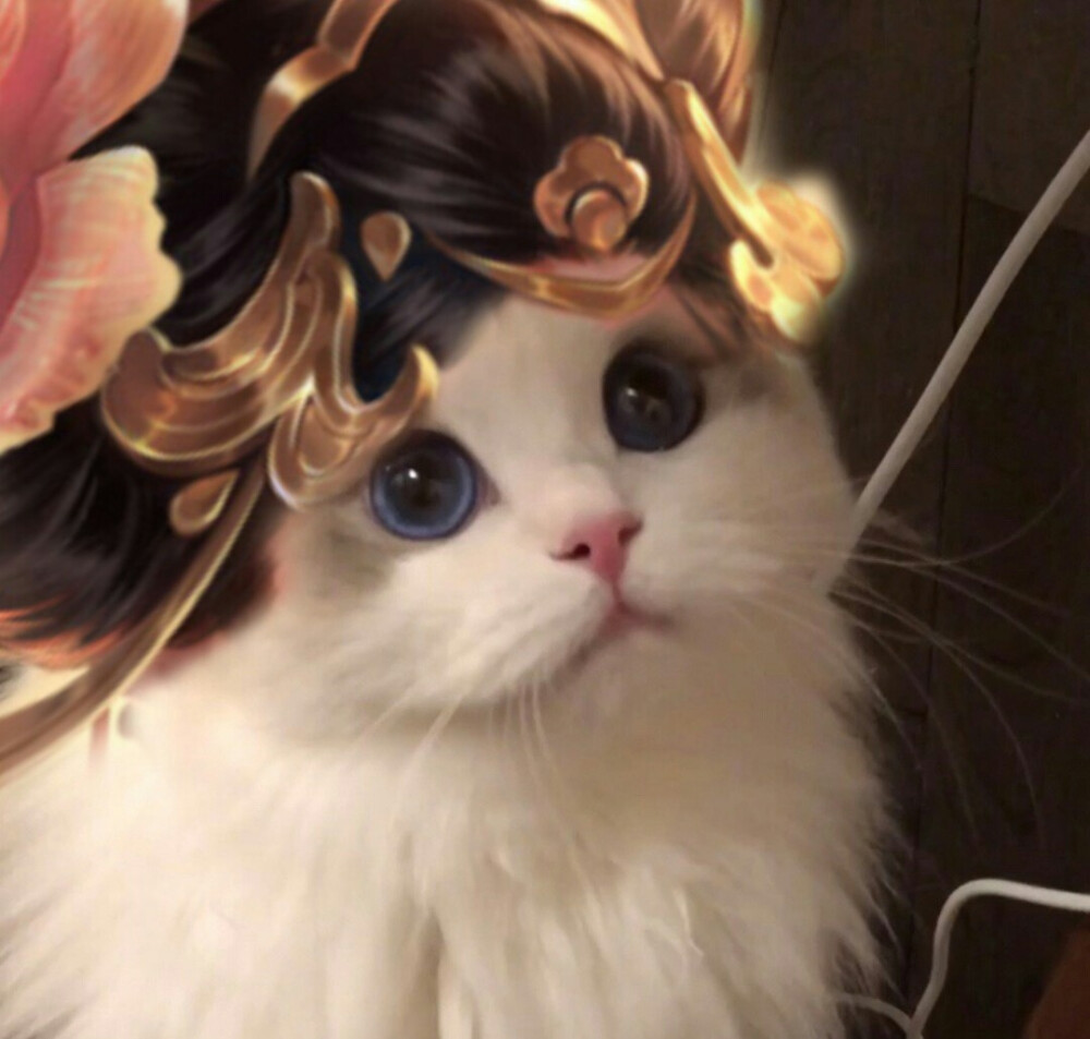 王者开黑头像，礼貌拿图，